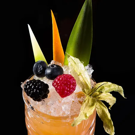 Le Meridien Hotell Barcelona